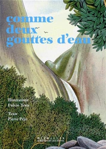 COMME DEUX GOUTTES D'EAU, de PEJU | portada del libro