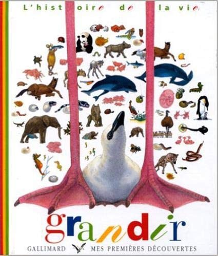 GRANDIR, de Sylvaine Pérols | portada del libro