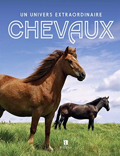 CHEVAUX UN UNIVERS EXTRAORDINAIRE, de COLLECTIF | portada del libro