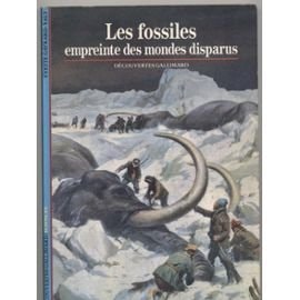 LES FOSSILES EMPREINTE DES MONDES DISPARUS, de Yvette Gayrard-Valy | portada del libro