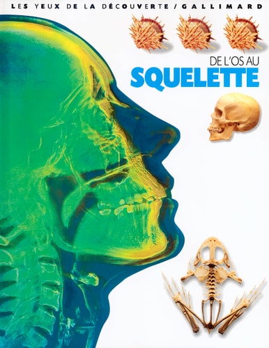 DE L'OS AU SQUELETTE, de Steve Parker | portada del libro