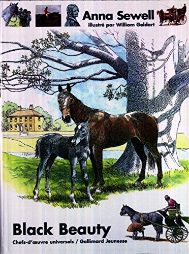 BLACK BEAUTY, de Anna Sewell | portada del libro