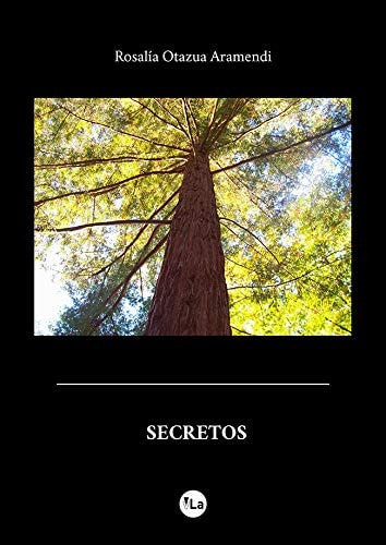 Secretos, de Otazua Aramendi | portada del libro
