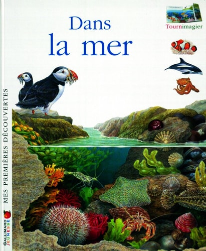 DANS LA MER, de Fuhr | portada del libro