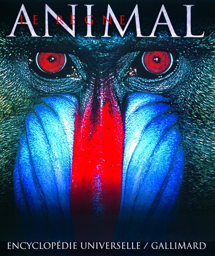 LE REGNE ANIMAL, de Burnie | portada del libro