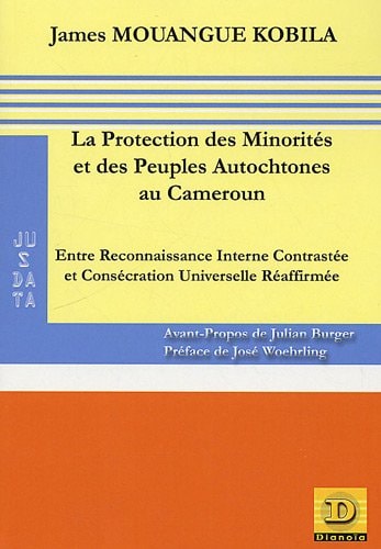 LA PROTECTION DES MINORITES ET DES PEUPLES AUTOCHTONES AU CA, de Mouangué-Kobila | portada del libro