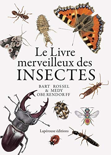 LE LIVRE MERVEILLEUX DES INSECTES, de Bart Rossel | portada del libro