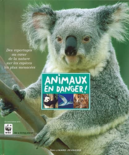 Animaux en Danger!, de Andrea Mills | portada del libro