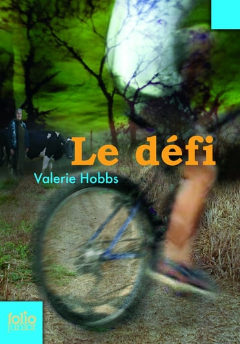 LE DEFI, de Valerie Hobbs | portada del libro