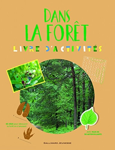 DANS LA FORET, de Sophie Bordet-Pétillon | portada del libro