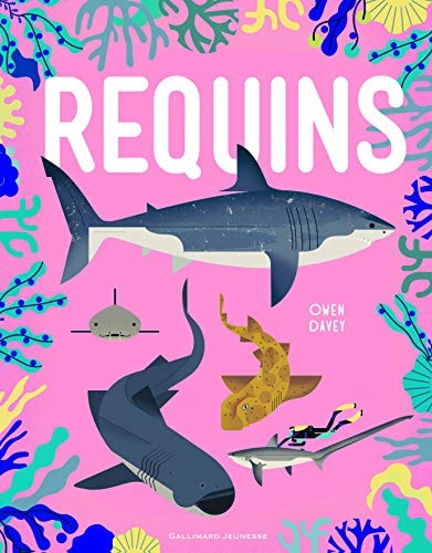REQUINS, de Owen Davey | portada del libro