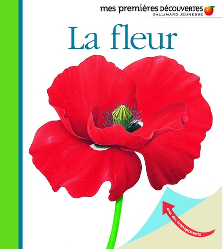 LA FLEUR, de René Mettler | portada del libro