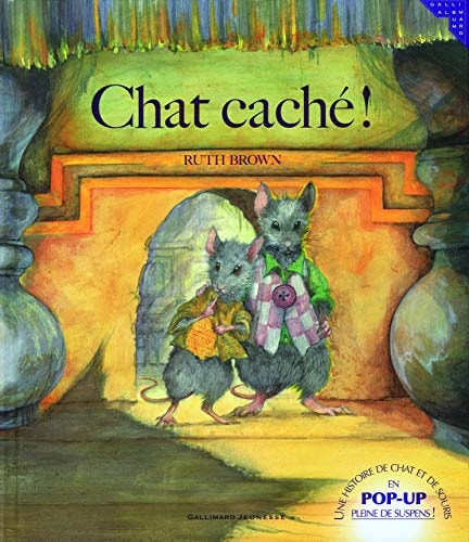 CHAT CACHE, de Ruth Brown | portada del libro