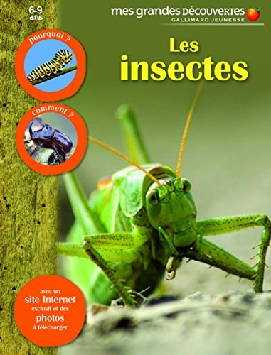 LES INSECTES, de COLLECTIFS JEUNESSE | portada del libro