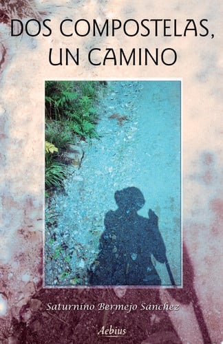 DOS COMPOSTELAS, UN CAMINO, de BERMEJO SANCHEZ | portada del libro