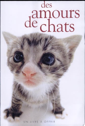 AMOURS DE CHATS, de EXLEY HELEN | portada del libro