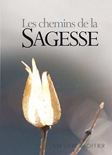 CHEMINS DE LA SAGESSE LE GF, de EXLEY | portada del libro