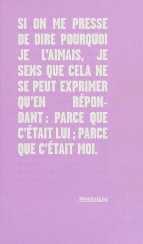 POURQUOI AIMES-TU TES AMIS ?, de FOISNEAU | portada del libro
