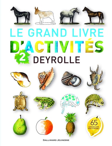LE GRAND LIVRE D'ACTIVITES DEYROLLE N 2, de Gallimard Jeunesse | portada del libro