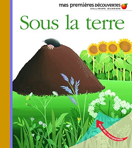 SOUS LA TERRE, de Pascale de Bourgoing | portada del libro