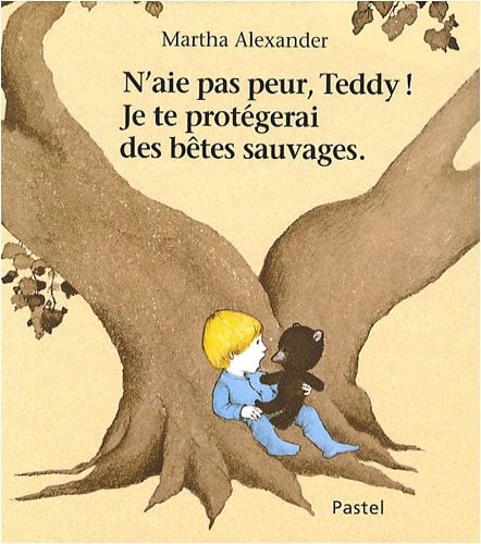 'AIE PAS PEUR, TEDDY ! JE TE PROTEGERAI, de Martha Alexander | portada del libro