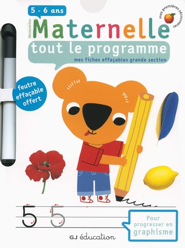 TOUT LE PROGRAMME MES FICHES EFFACABLES GRANDE SECTION, de Delphine Gravier | portada del libro