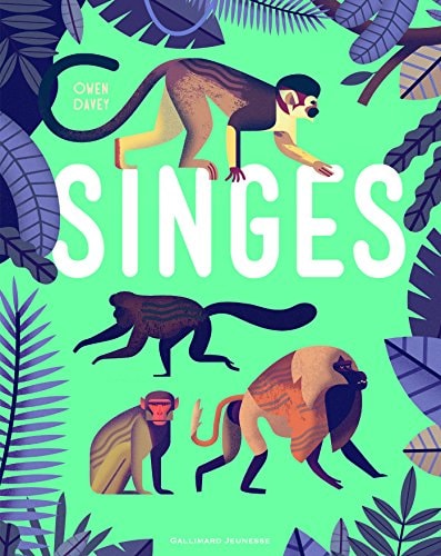 SINGES, de Owen Davey | portada del libro
