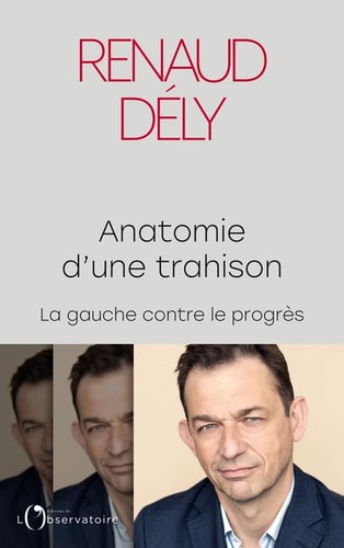 NATOMIE D'UNE TRAHISON, de Renaud Dély | portada del libro