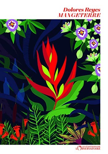 ANGETERRE, de Dolores Reyes | portada del libro