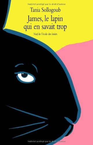 AMES, LE LAPIN QUI EN SAVAIT TROP, de Tania Sollogoub | portada del libro