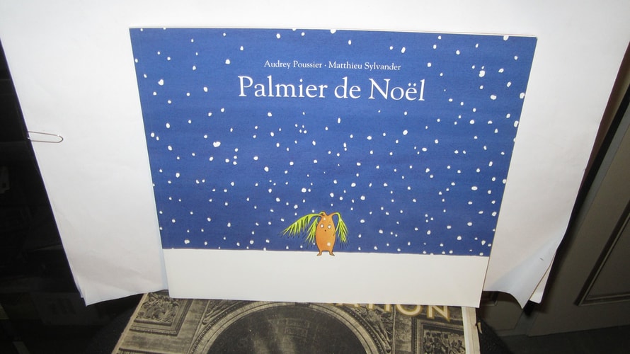 ALMIER DE NOEL, de Matthieu Sylvander | portada del libro