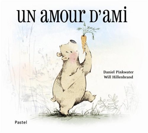 N AMOUR D'AMI, de WILL HILLENBRAND | portada del libro