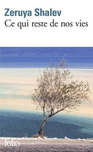 Ce qui reste de nos vies, de Zeruya Shalev (romancière).) | portada del libro