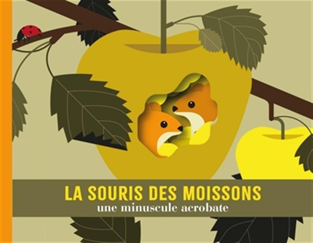 LA SOURIS DES MOISSONS UNE MINUSCULE ACROBATE, de Cécile Jacoud | portada del libro