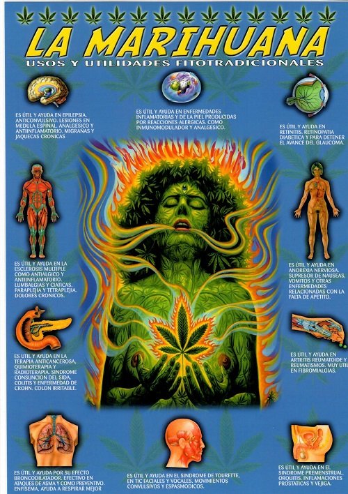 MARIHUANA, LA LD-485 | portada del libro