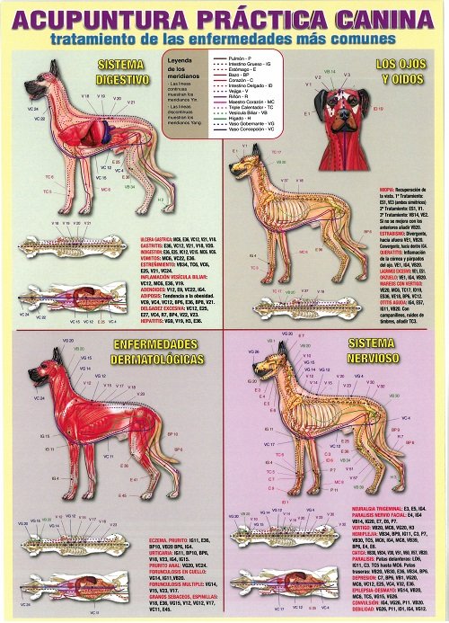 ACUPUNTURA PRACTICA CANINA LD-070 | portada del libro