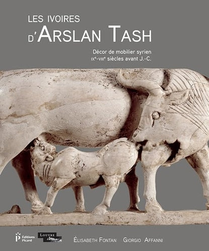ES IVOIRES D'ARSLAN TASH (ECB), de FONTAN ELISABETH / AFFANNI GIORGIO | portada del libro