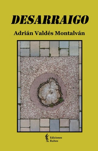 DESARRAIGO, de VALDéS MONTALVáN | portada del libro