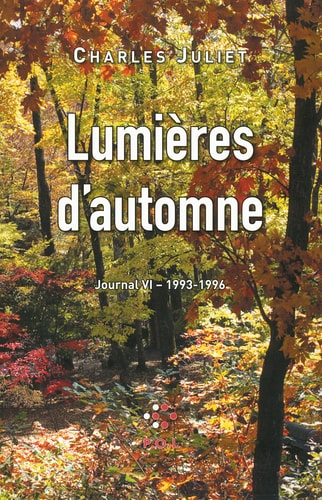 LUMIERES D'AUTOMNE JOURNAL VI, de Nicole Blondeau | portada del libro