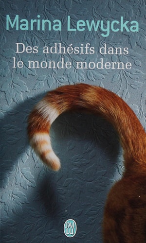 DHESIFS DANS LE MONDE MODERNE, de Marina Lewycka | portada del libro