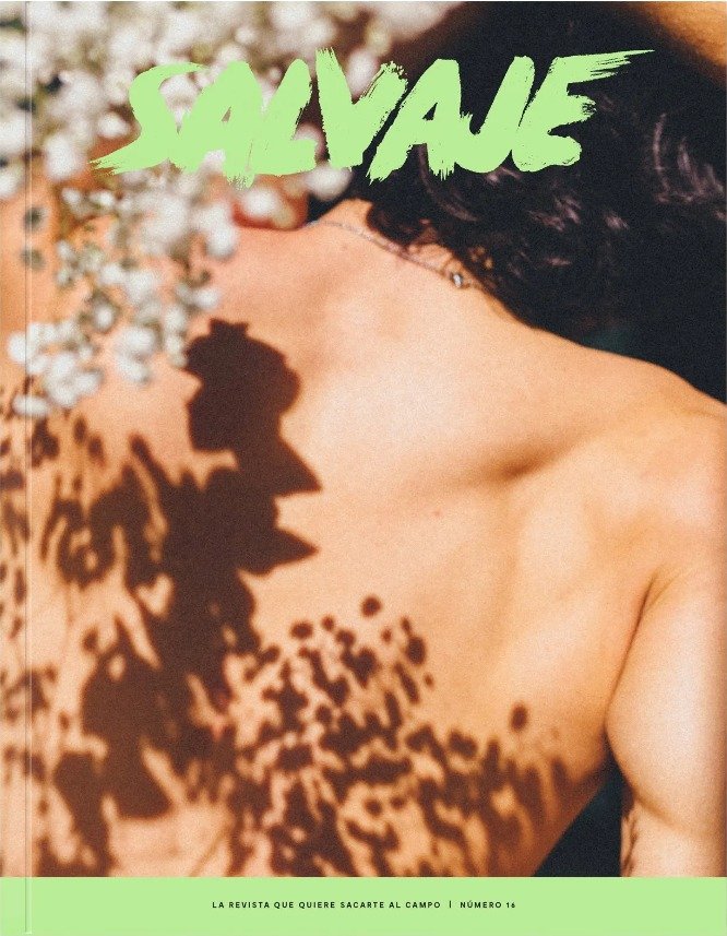 REVISTA SALVAJE 16, de AA.VV. | portada del libro