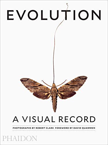 EVOLUTION: A VISUAL RECORD, de CLARK | portada del libro