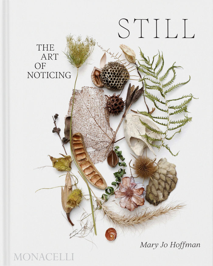Still, de HOFFMAN,MARY JO | portada del libro