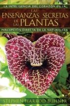 LAS ENSEÑANZAS SECRETAS DE LAS PLANTAS, de Stephen Harrod Buhner | portada del libro