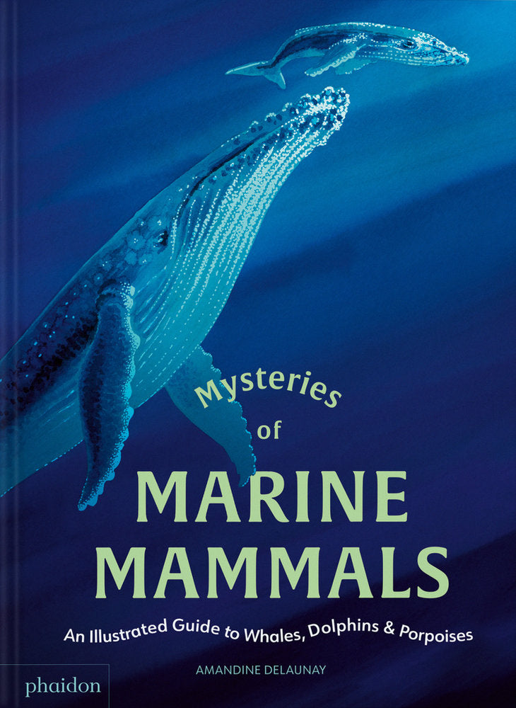 Mysteries of marine mammals, de DELAUNAY,AMANDINE | portada del libro