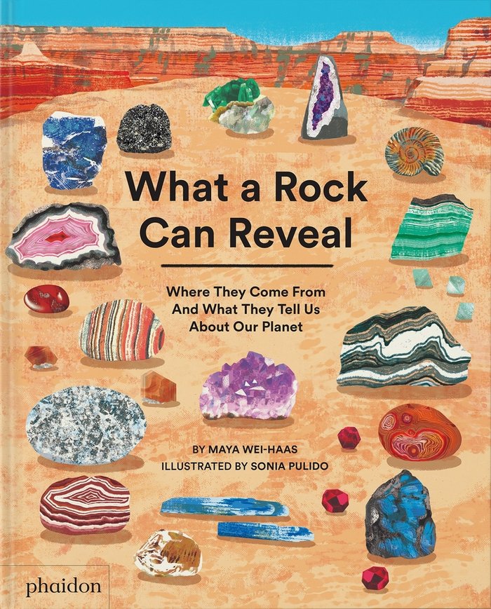 WHAT A ROCK CAN REVEAL, de PULIDO, SONIA | portada del libro