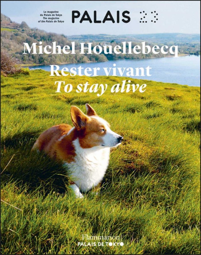 RESTER VIVANT, de HOUELLEBECQ MICHEL | portada del libro