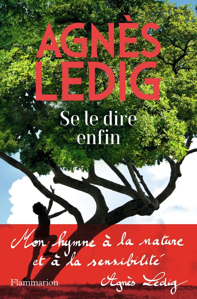 SE LE DIRE ENFIN, de Agnès Ledig | portada del libro