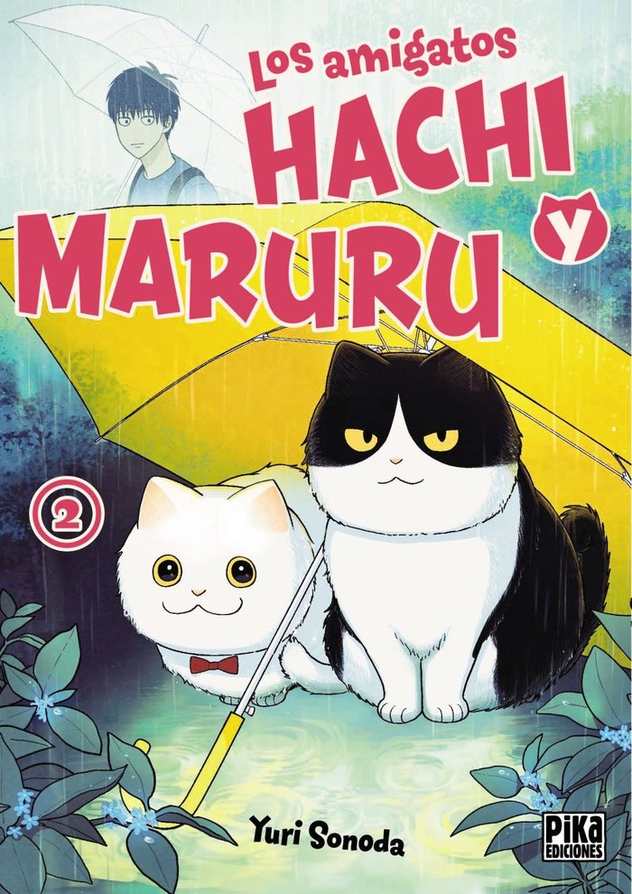 LOS AMIGATOS HACHI Y MARURU, de SONODA, YURI | portada del libro