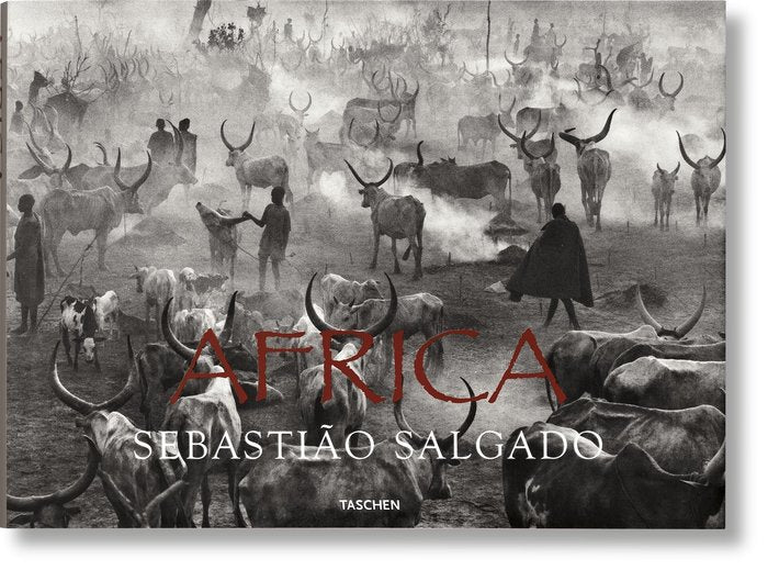 SALGADO AFRICA (IN/FR/AL), de Couto, Mia | portada del libro